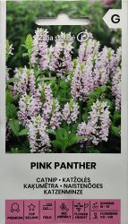 Nepeta Pink Panther Seeds